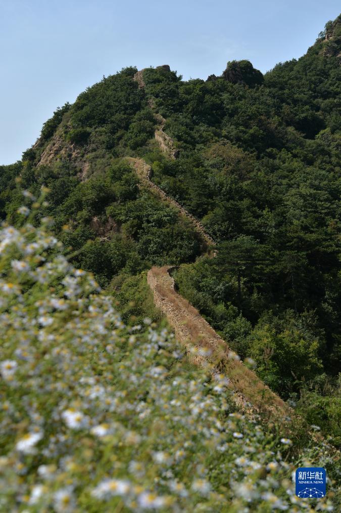 冰球突破免费试玩
